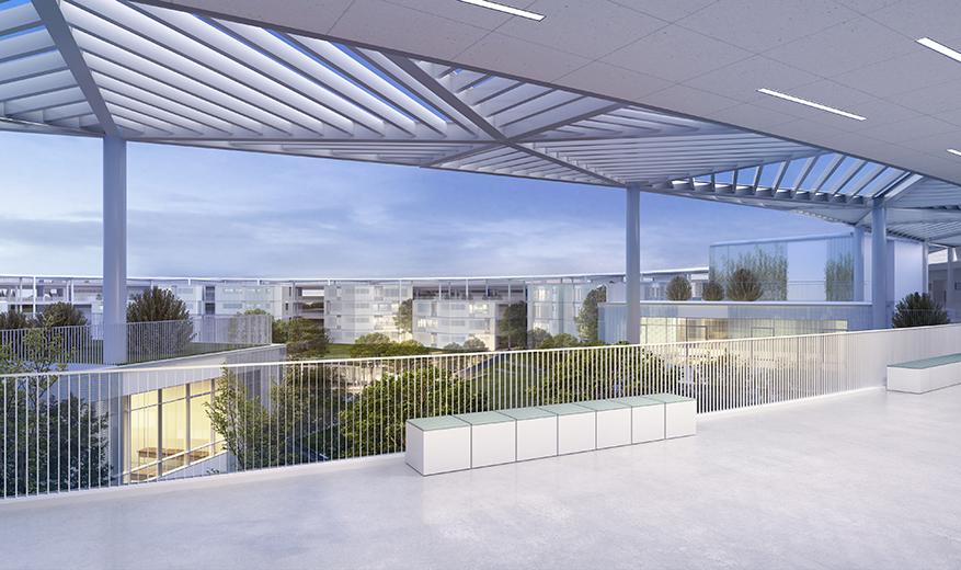 重庆市南开两江学校